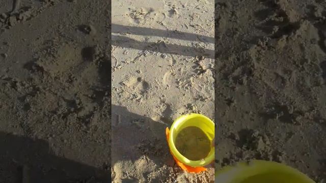 Hurghada Old Vic beach 11/2018 смотреть онлайн