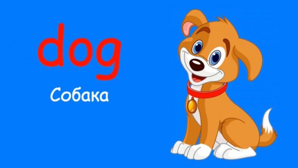 Учим домашних животных на английском! Английский для детей