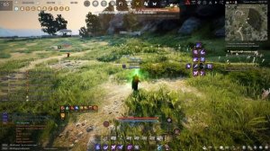 Black Desert Уса Объемный Гайд | Woosa Succession+Awakening