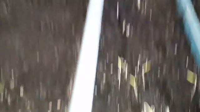 Обрабатываем рассаду превикуром повторно. Защита от черной ножки. смотреть онлайн