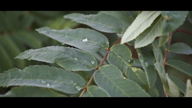 Из отпуска 06.2021 смотреть онлайн