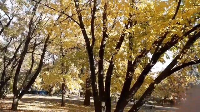 Таганрог. Золотая осень. смотреть онлайн