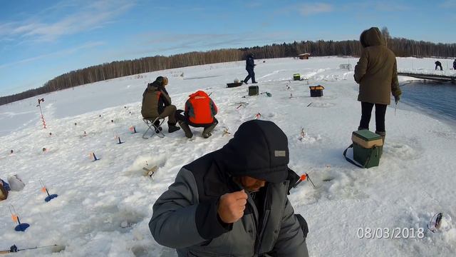 fishing, Рыбалка зимой, форель, лосось, секреты ловли. смотреть онлайн