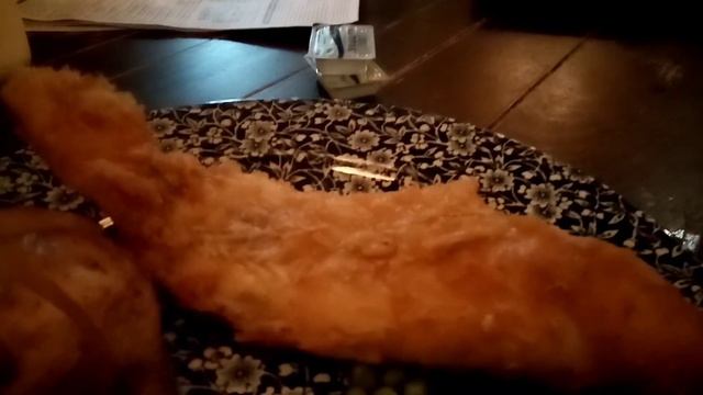 Самый дешёвый английский паб - ресторан. The cheapest English pub. смотреть онлайн