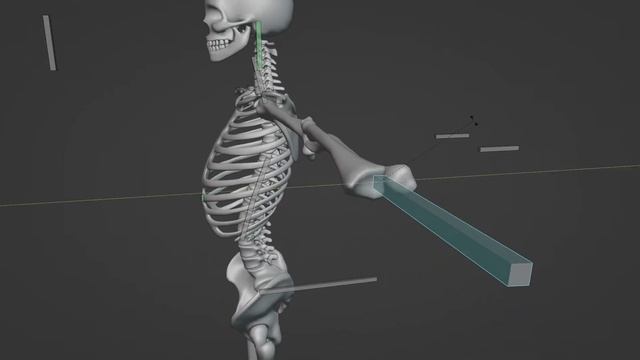 Blender - Риг анатомического скелета смотреть онлайн