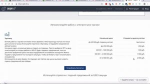Что такое аукционный робот и для чего он нужен?
