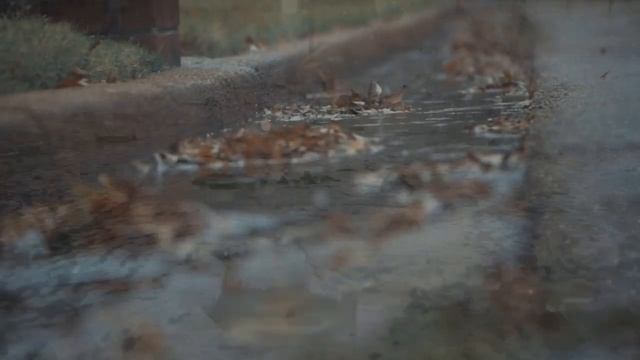 Музыка для крепкого сна|Атмосфера грома и дождя|Music for sound sleep|Atmosphere of thunder and rai смотреть онлайн