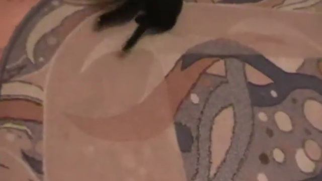кот бегает за лазером (котикины проказы) смотреть онлайн