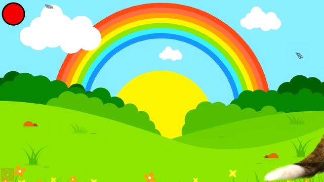 Zoo zwierzęta dla dzieci - Nauka zwierząt смотреть онлайн