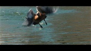 Женя Барс - Про друга