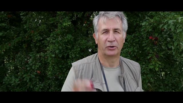 AGRATE BRIANZA La Vasca Volano смотреть онлайн