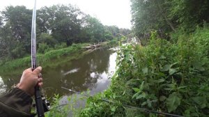 Самая народная и уловистая снасть - ПОЛУДОНКА! Рыбалка без лишних слов на реке Свислочь!