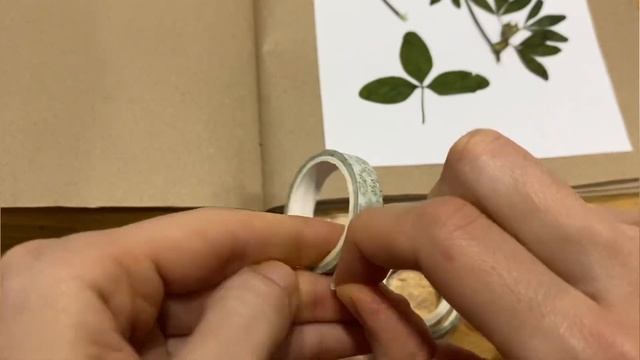 ГЕРБАРИЙ своими руками???Сохранили воспоминания о нашем лете/осени? смотреть онлайн