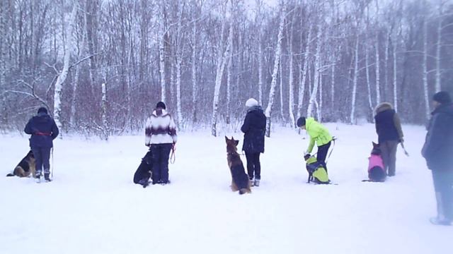Новогодние занятия в группе 29,12,18 смотреть онлайн