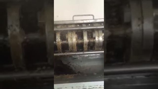 Отжим кедрового масла ИП Белов А.В смотреть онлайн