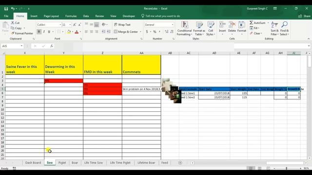 All ways to maintain good farm records in pig farm смотреть онлайн