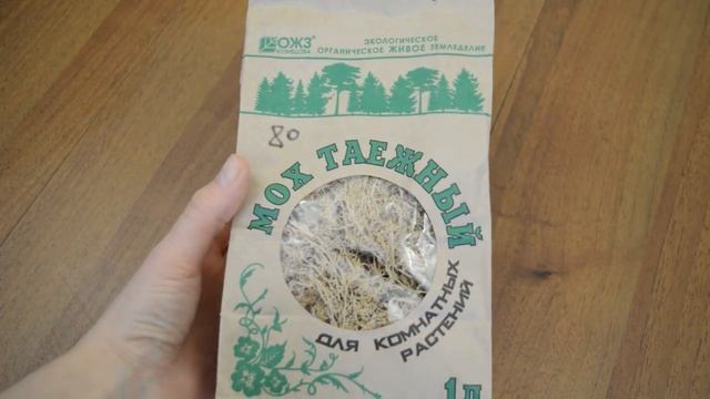 Черенкование петунии весна 2020 смотреть онлайн