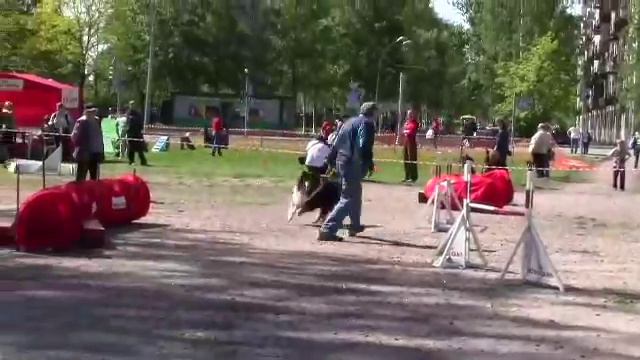 Аджилити А2 21/05/11 Алан смотреть онлайн