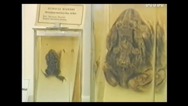 От форте до пьяно. Эпизоды 2-9 (НТН)