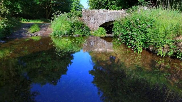 Звуки природы. Журчание воды и пение птиц в лесу смотреть онлайн