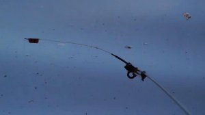 Рыбалка с Летним боковым кивком. Fishing На озере Карасун, Краснодар. angeln la pesca câu cá (1)