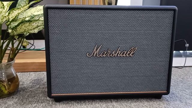 Marshall Woburn 3 | music test смотреть онлайн