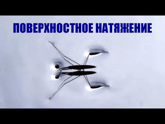Поверхностное натяжение смотреть онлайн