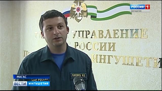 Отловом ядовитых змей занимаются специальные службы смотреть онлайн