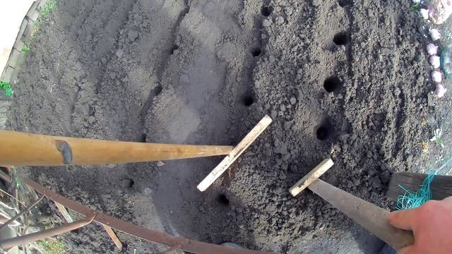 Лайфхаки при посадке чеснока на скорую руку.