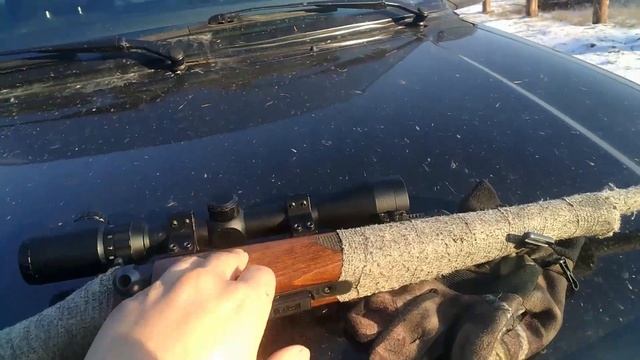 Мой обзор на мелкашку ЧеЗет для промысловой охоты. Оптика Bushnell (китай) смотреть онлайн