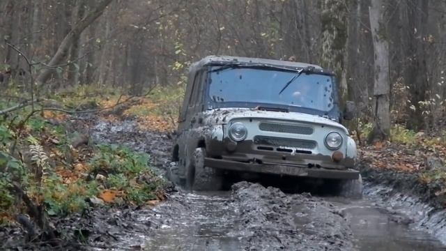 SAFARI и NORTEC ET-500 В ЛЕСУ!!!