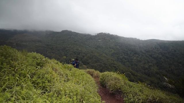 THE HIDDEN PARADISE IN CHIKMAGALUR TO VISIT! смотреть онлайн