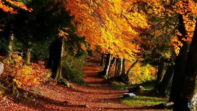 Константин Батюшков - Мой гений смотреть онлайн