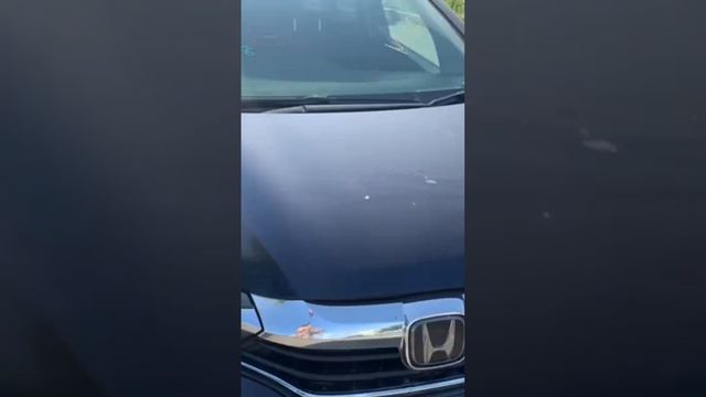 Авто под заказ Honda Shuttle только с таможни #авто #автоизяпонии #аукцион #подзаказ смотреть онлайн