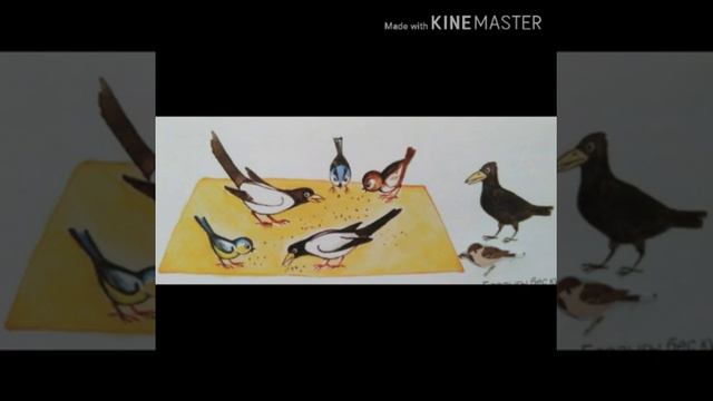 Фэмп онлаин занятие. Дүзбанова Гүлшат смотреть онлайн