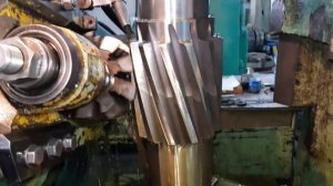 Вал шестерня косозубая m=12 z=13 3633А.01.01.003