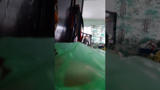 35 Самый лучший день в жизни на планете земля 🌈🤗🥰 Приключения Андрея и его друзей Школе 35 выпуск смотреть онлайн