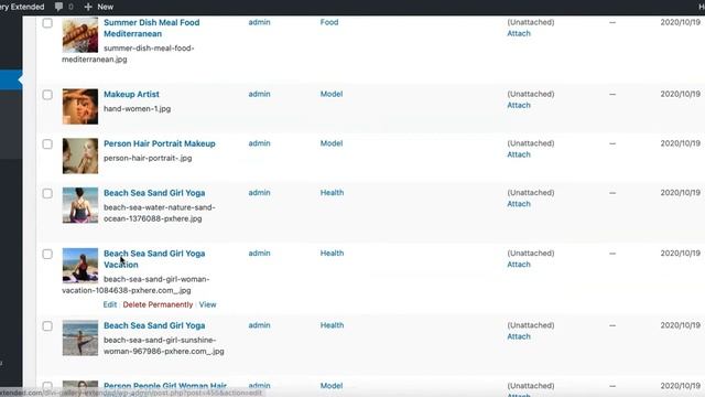 Divi Gallery Extended - Masonry Gallery With Category Filter 1.1.0 Update смотреть онлайн
