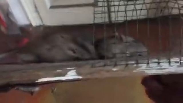 Умные Стройки