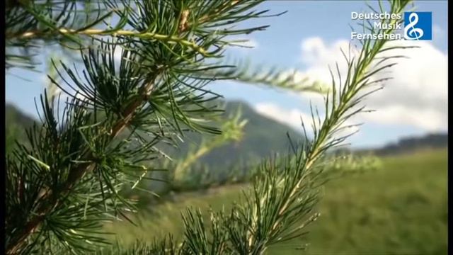 Herz-Schmerz Polka - Ernst Mosch und die Original Straßenmusikanten смотреть онлайн