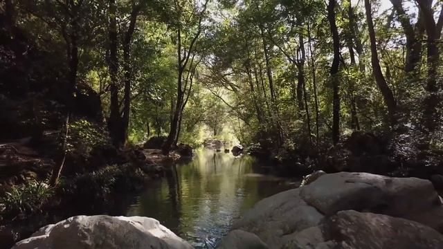 "Дорога жизни" . Стихи Яны Басист смотреть онлайн