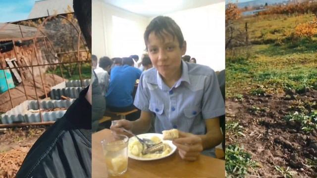 Влог из Барды. Жизнь в селе. смотреть онлайн