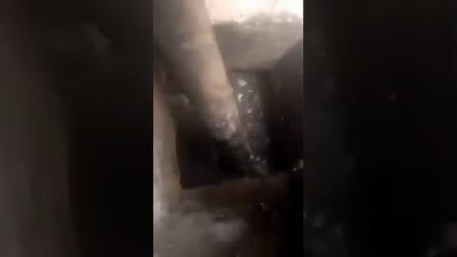 Septic Tank Services