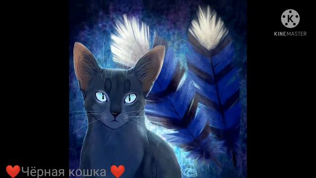 /Коты Воители/ Синяя Звезда/ клип на песню Solo/ ( получилось не очень😐) смотреть онлайн