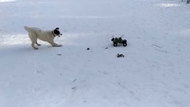 Тест машинки из Китая смотреть онлайн