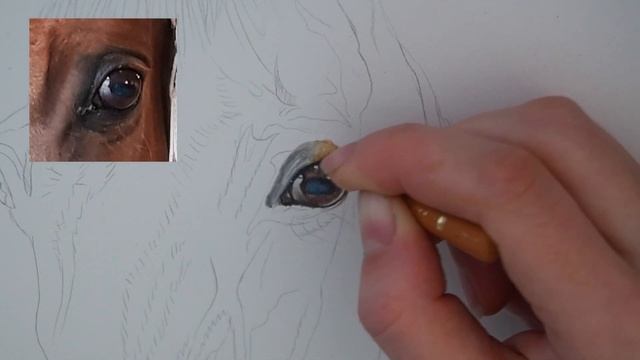 How To Draw A Realistic Horse Eye With Coloured Pencils смотреть онлайн