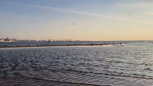 Парк 300-летия Санкт-Петербурга, Финский залив смотреть онлайн