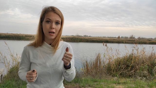 Гален, Авиценна, Гиппократ. История косметологии и профессии косметолога смотреть онлайн