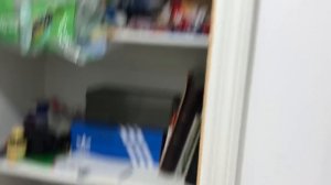 Квартира в Америке. Как живут обычные Американцы!