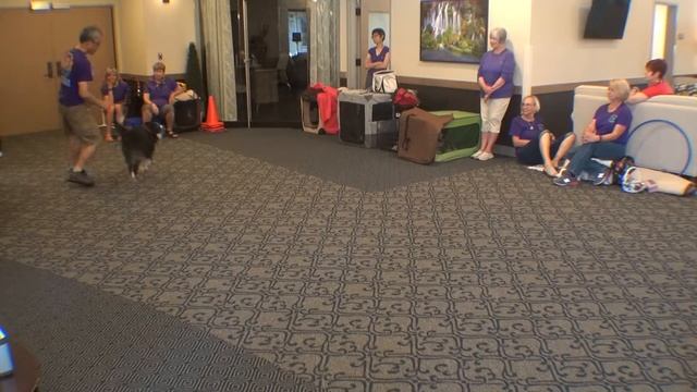 Michael & Mirai, Visiting Veranda Senior Living 7/3/2017 смотреть онлайн